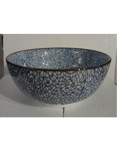 Grand bol à soupe aux nouilles ramen japonaise bleu