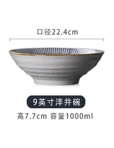 Grand bol à soupe aux nouilles japonaise céramique