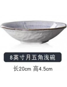 Grand bol nouilles ou assiette  japonaise