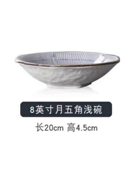 Grand bol nouilles ou assiette  japonaise