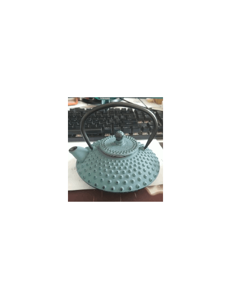 Théière Japon en fonte cyan