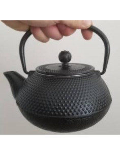 Théière Japon en fonte noir