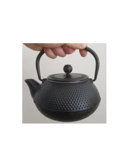 Théière Japon en fonte noir