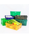 Panier légumes